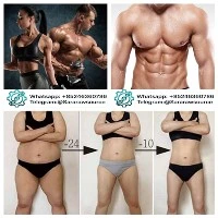 Který typ peptidového hormonu je nejúčinnější pro zvládání nadváhy a obezity?